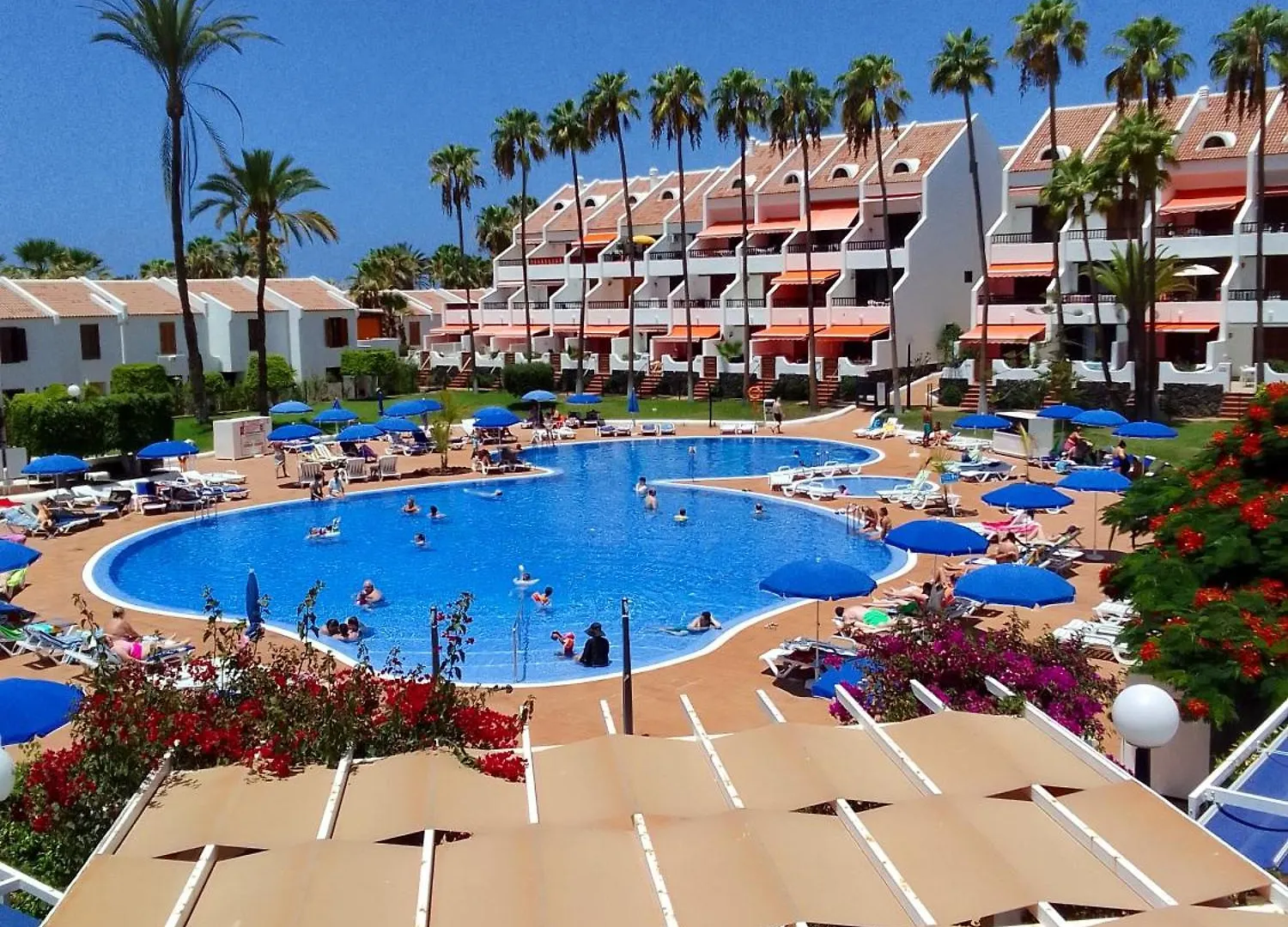 Elegant Apartment With Mountain View In Playa De La Americas 60 Sqm Shared Pool Playa de las Américas